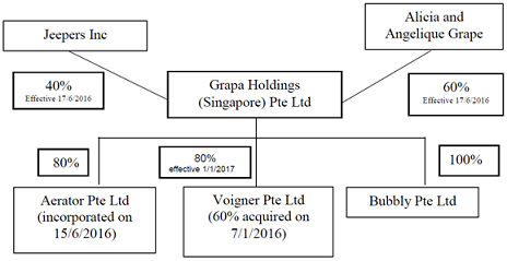 2106_Group structure of Grapa Holdings.png